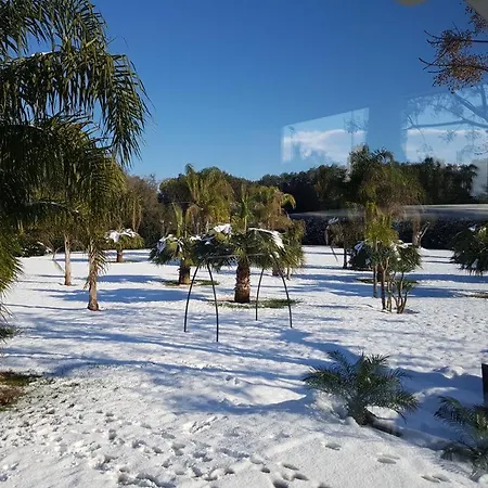 Luxury Con Piscina ヴィラ