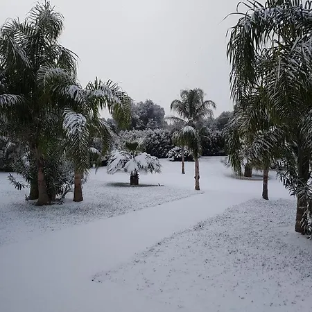 Luxury Con Piscina ヴィラ